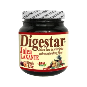 digestar jalea 120 gr