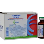 tiamina 1 gr 10 ml 12 ampollas ec